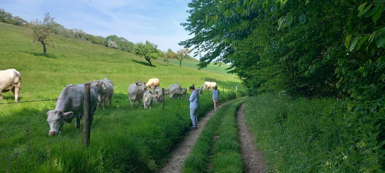 La Croisee Des Chemins Arques-la-Bataille Kültér fotó